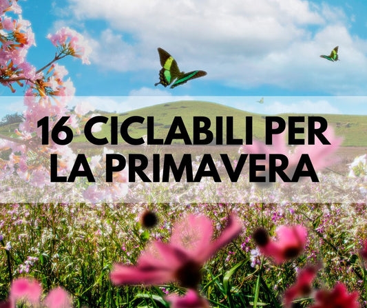 Ciclabili da fare in primavera: 16 idee per te.